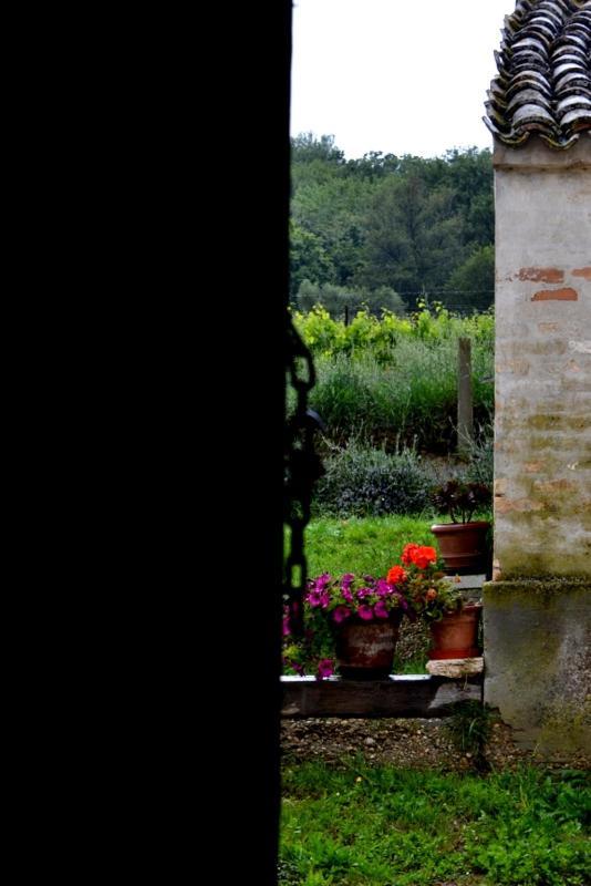 B&B Casale Fonte Vecchia Monteprandone Extérieur photo
